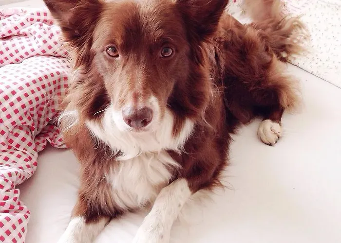 Casa de hóspedes The Venue Frankfurt-hahn Airport